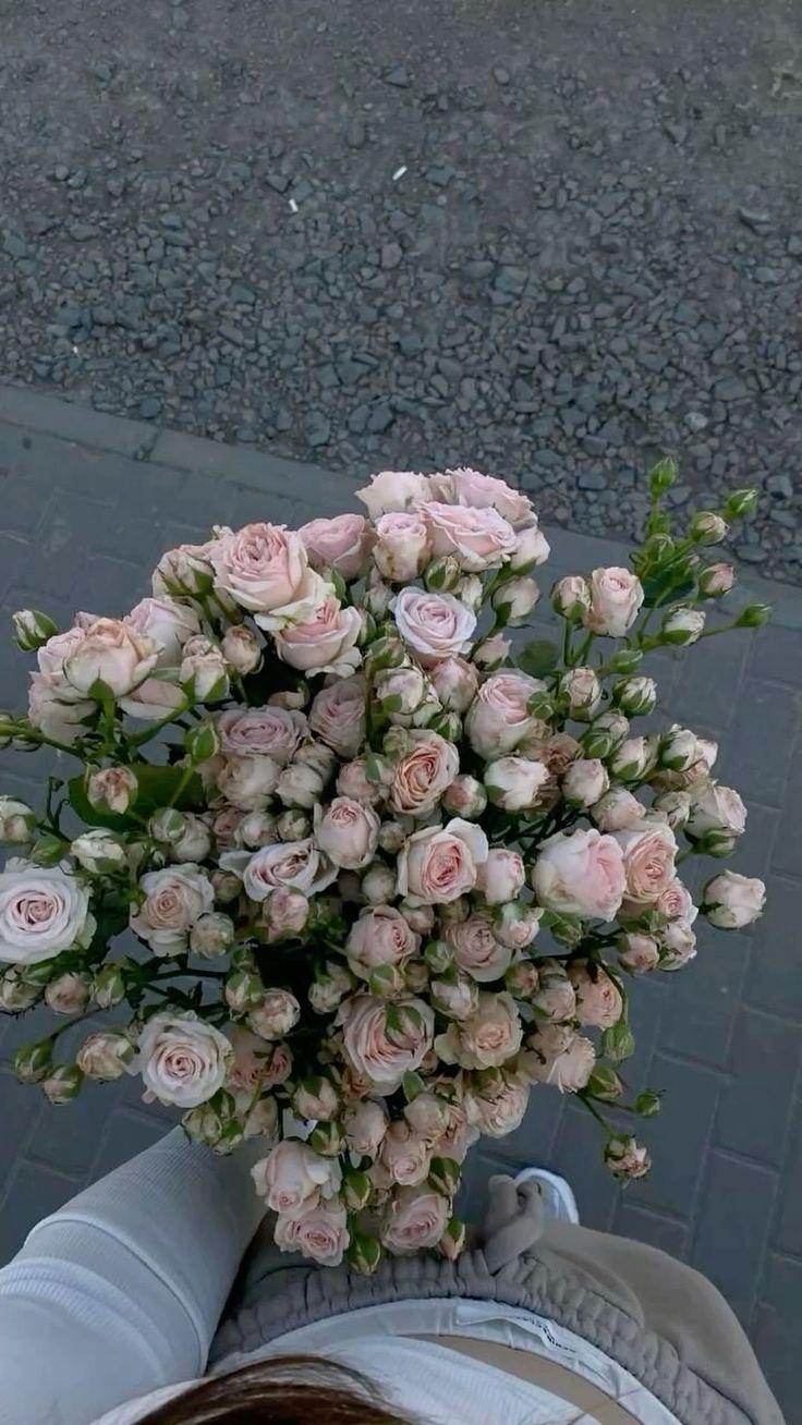 Morning Dew on Love's Blossoms